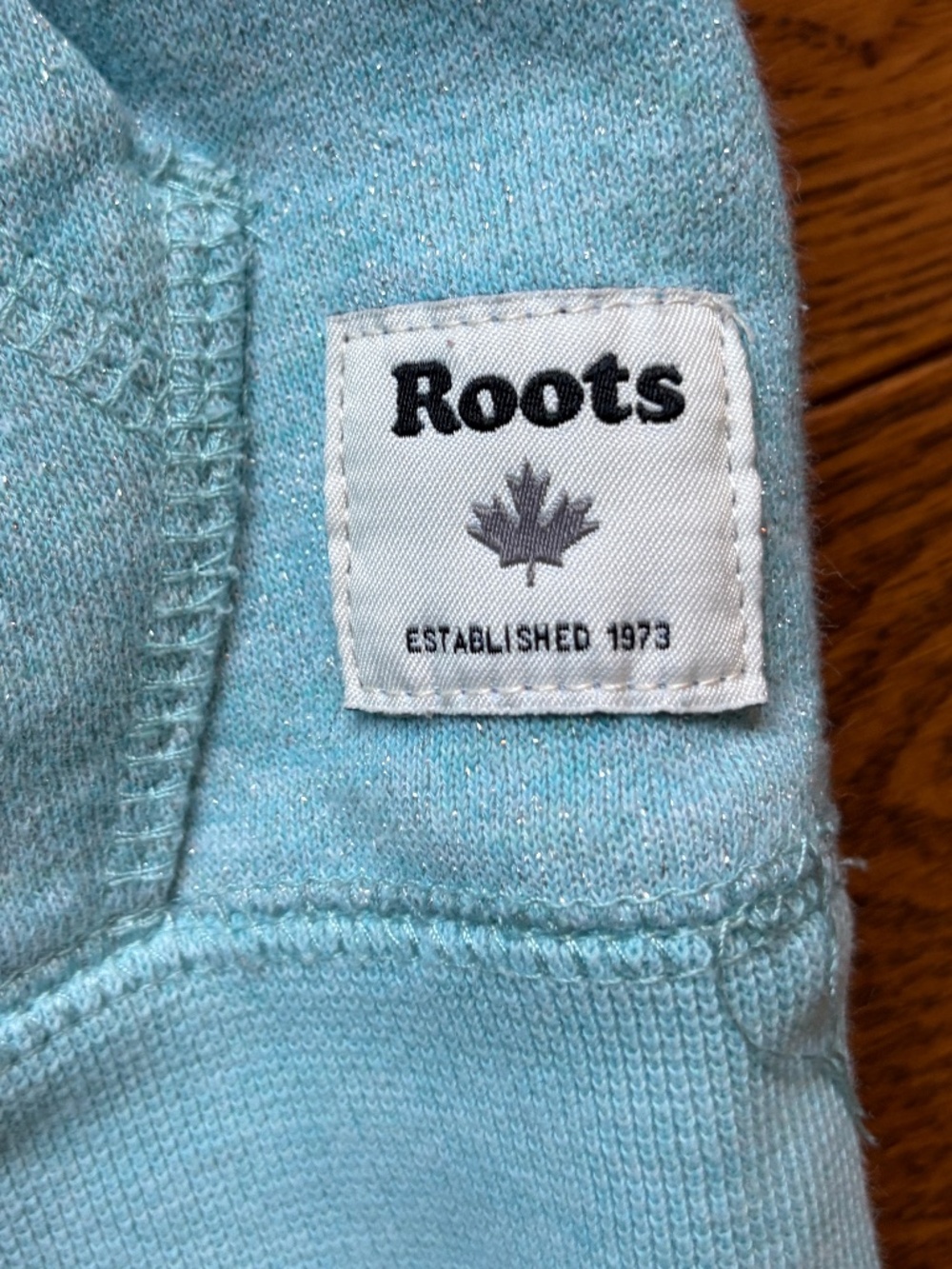 Roots Kids Metallic Shimmer Beaver Logo Hoodie - Aqua Blue / Mint - Size S (5-6) - Picture 4 of 5